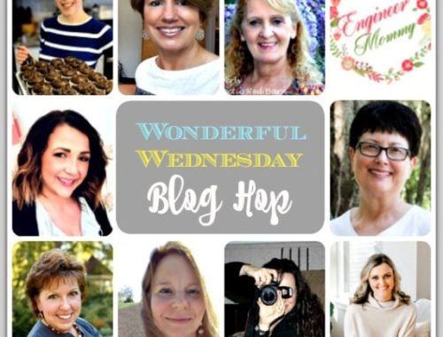 Wonderful Wednesday Blog Hop Co-Hosts