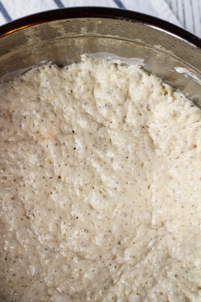 Dough after fermenting overnight