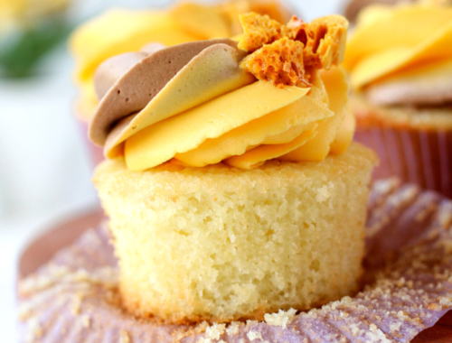 Chocolate Honey Cupcakes | Bakes & Blunders