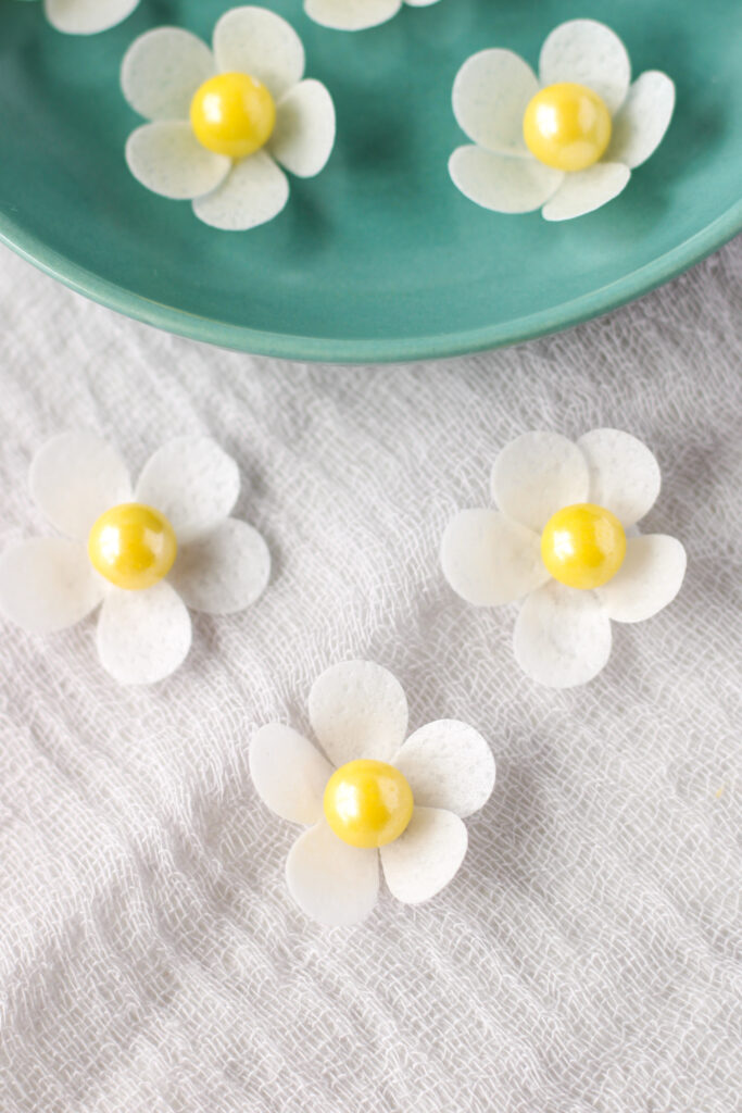 Wafer Paper Strawberry Blossoms | Bakes & Blunders