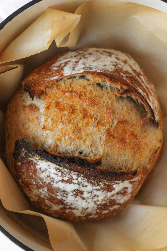 Sourdough Bread with Whole Wheat Flour in a Dutch oven