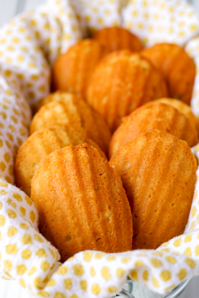Vanilla Bean Madeleines