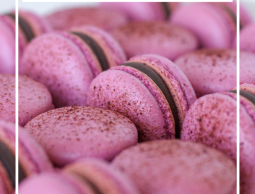 Chocolate Raspberry Macarons | Bakes & Blunders