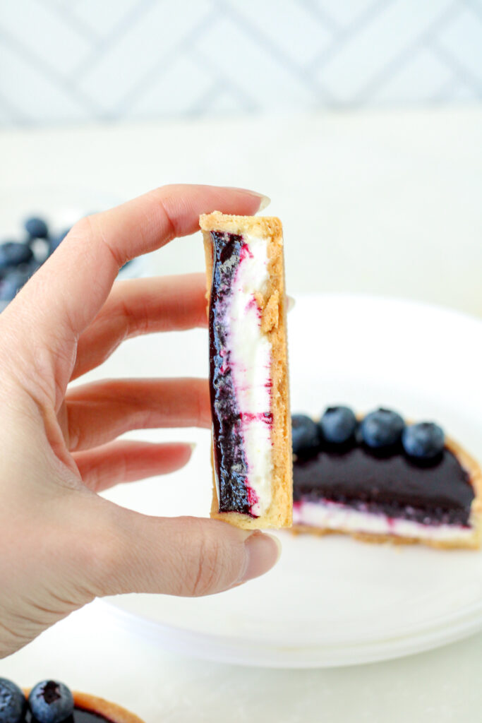 Cross section of a Blueberry Tart