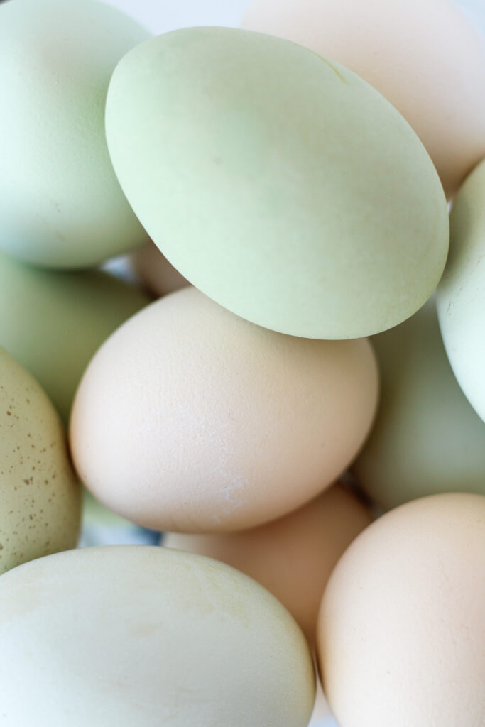 Farm Fresh Eggs in a glass bowl. The eggs are a mix of white, green, and blue!